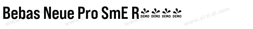Bebas Neue Pro SmE R字体转换